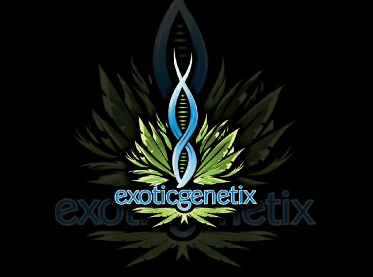Exotic Genetix Clones in South Africa