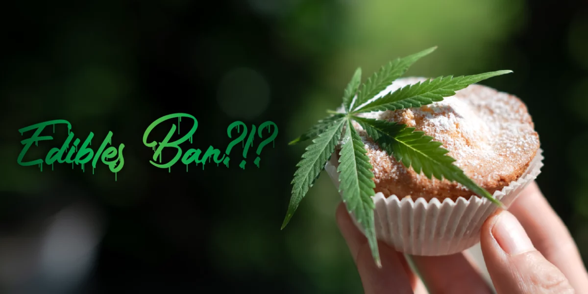 Edibles Are Now Illegal in South Africa?