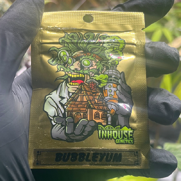 Bubbleyum In House Genetics Juicy Clones