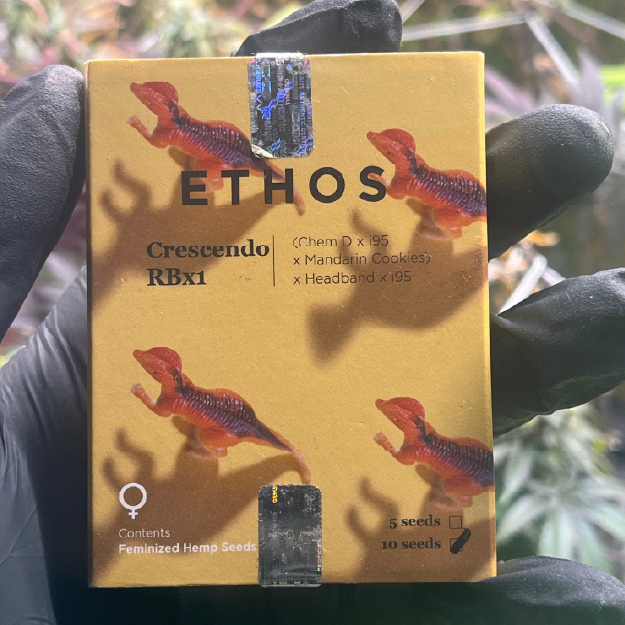 Crescendo RBx1 Ethos Genetics Juicy Clones
