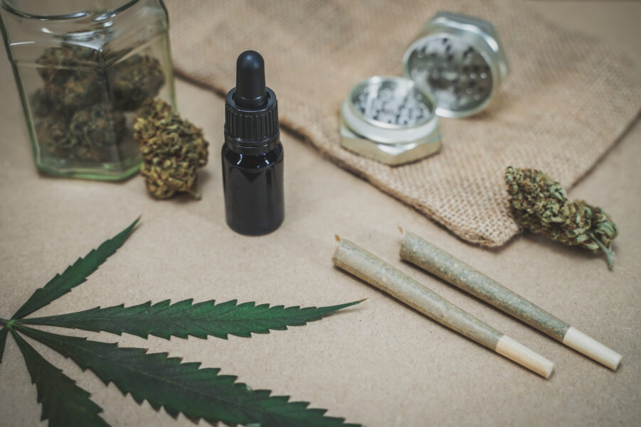 2026 Cannabis Clone Laws South Africa Explained